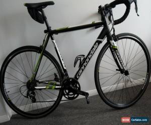 Classic cannondale caad 8 54cm for Sale