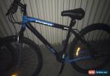 Classic Stratosphere Mountain Bike for Sale