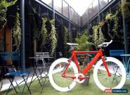 NOLOGO "X" - Type RED new Single Speed freewheels Road bike Fixed Gear fixie ! for Sale