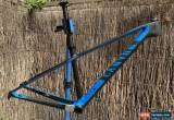 Classic 2019 Canyon Exceed CF SL Carbon 29er Frame for Sale