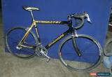 Classic BIANCHI 928 FULL CARBON ITALIAN HAND MADE RACING BIKE 61 CM CAMPAGNOLO CENTAUR for Sale