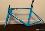 Classic Giant TCR TDF Edition Di2 Carbon Frameset, Forks and Seat post for Sale
