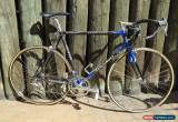 Classic Colnago Carbitubo Vintage Bike Campagnolo Record 8 Speed 57cm c-c 3TTT Bicycle for Sale