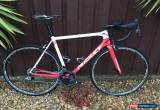 Classic RIDLEY Helium 56m (medium) - Brisbane Continental Cycling Team Colours for Sale