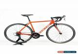 Classic FOCUS IZALCO RACE AL 2018 Aluminum size / 51 Free Shipping Pre-owned From Japan for Sale