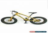 Classic  Big Cat Fat Bike MTB Snow Beach front suspension, disc brake 21 speed for Sale