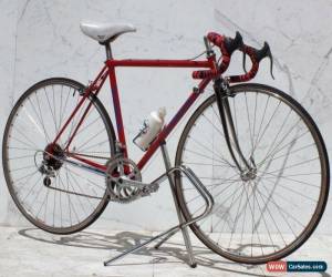 Classic Le Taureau Vuelta Bike Full Chromed Columbus Tubing LowMan  for Sale