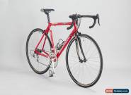 50cm Bianchi Pro Race Team Aluminium Road Racing Bike for Sale
