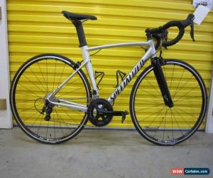Classic ROADBIKE SPECIALIZED ALLEZ. SPRINT.105 GROUP.CARBON/ALU.AWESOME PROLEVEL BIKE.54 for Sale
