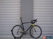 Giant TCR pro 1 Large 2017 for Sale