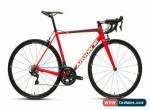 Argon 18 Gallium CS 105 Carbon Road Bike Large Brand New for Sale