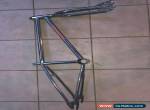 Apollo Apache frame and forks chrome for Sale
