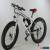 Classic High Quality Fat Tyre Electric Bike for Sale