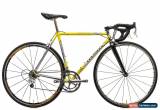 Classic 2000 Colnago Tecnos Art Decor Road Bike 52cm Steel Campagnolo Chorus 9 Speed for Sale