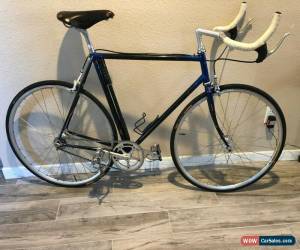 Classic Basso for Sale