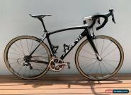 Avanti Cadent ERII Team Edition - Endurance Road Bike. Bargain! 55cm. Medium. for Sale