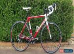 Trek 1.2 adults road bicycle, bike, shimano 18 speed for Sale
