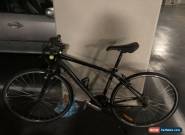 Avanti GiroF Bicycle for Sale