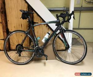 Classic Bianchi Carbon Road Bike Intenso 130 Anniversary Edition for Sale