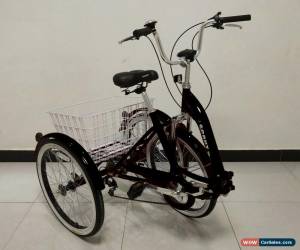 Classic ADULTS TRICYCLE, 24" WHEELS, 6 SPD SHIMANO GEARS, BLACK, triciclo, trike, ALLOY for Sale