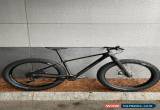 Classic 2020 Specialized Fatboy Comp Carbon for Sale