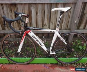 Classic Specialized road bike for Sale