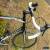 Classic Merida Ride Lite Road Bike XL for Sale